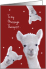 Massage Therapist, Warm Fuzzy Llama Christmas card