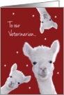 Veterinarian, Warm Fuzzy Llama Christmas card