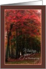 Missing You on Thanksgiving, Autumn Trees card