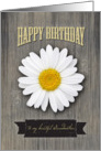 Grandmother Birthday, Rustic Wood and Daisy Design card