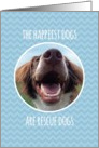 Congratulations on Adopting a Rescue Dog, Blue Chevron card