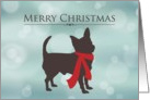 Merry Christmas, Chihuahua in Red Scarf, Bokeh Effect card