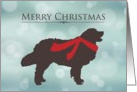Merry Christmas, Golden Retriever in Red Scarf, Bokeh Effect card