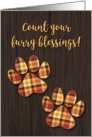 Thanksgiving, Count Your Furry Blessings card