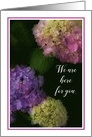 We are Here for you, Painted Hydrangea card