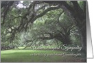 Sympathy, Loss of Granddaughter, Spanish Moss on Live Oaks card