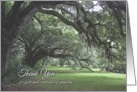 Thank You for Sympathy, Live Oak with Spanish Moss card