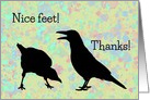 Crow’s Feet Humorous Birthday card