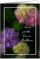 Nurses Day, Painted Hydrangea Flowers card