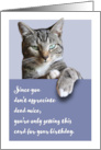 Funny Happy Birthday from the Cat card