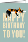 Happy Nappy Birthday To You Sleepy Calico Cat card