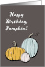 Happy Birthday Pumpkin with Cute Illustrated Gourds card