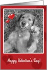 Valentine’s Day Golden Retriever Dog and Hearts card