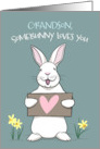 Somebunny Loves you Grandson Easter Bunny Rabbit card