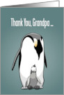 Father’s Day Grandpa Arctic Wildlife Emperor Penguins card