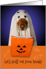 Happy Halloween, Treat Sniffing Ghost Dog card