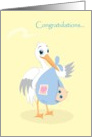Congratulations, Baby Boy, You’ve Got Male, Stork with Baby card