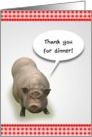 Thank You for Dinner, Pot Belly Pig card