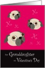 Granddaughter Valentine’s Day, Pugs and Kisses card