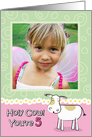 Holy Cow You’re 5 Birthday Customizable Photo Card
