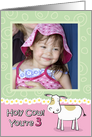 Holy Cow You’re 3 Birthday Customizable Photo Card
