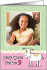 Holy Cow You’re 9 Birthday Customizable Photo Card