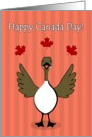 Canada Day, Canadian Goose on Stripes Card