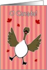 O Canada Day, Canadian Goose Red Stripes Card