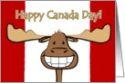 Canada Day, Happy Moose on Canadian Flag Card