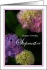 Happy Birthday Stepmother, Pretty Hydrangia Card