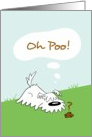 Oh Poo! Humorous Shaggy Dog Belated Birthday Card