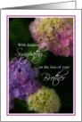 Deepest Sympathy Loss of Brother, Lovely Painted Hydrangea Flowers card