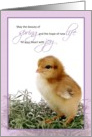 Springtime, Easter, Fuzzy Baby Chick Card