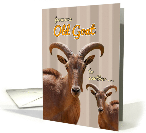 From One Old Goat to Another Humorous Birthday card (1000223)