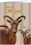 From One Old Goat to Another Humorous Birthday Card