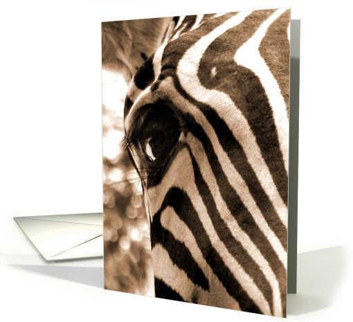 Eye of the Zebra, Black & White Photo Note card (1014775)