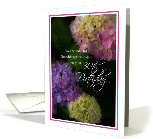 Granddaughter-in-law 30th Birthday, Painted Hydrangea card (1044087)