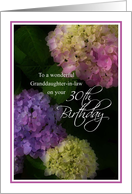 Granddaughter-in-law 30th Birthday, Painted Hydrangea card