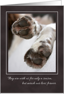 Sympathy Loss of Pet, Dog Paws card