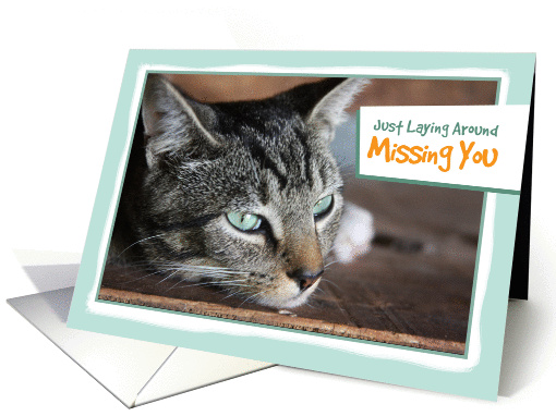 Pretty Cat, Just Laying Around Missing You card (1317488)