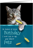 Humorous Birthday Card from the Cat with Attitude card