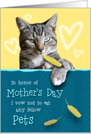 Humorous Mother’s Day Card from the Naughty Cat card