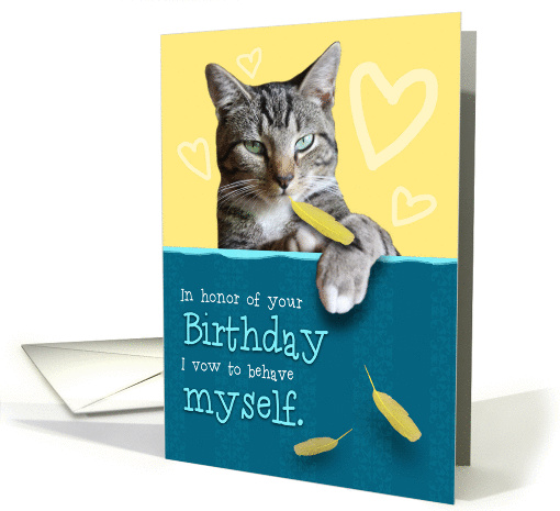 Humorous Birthday Card with Naughty Cat card (1318496)