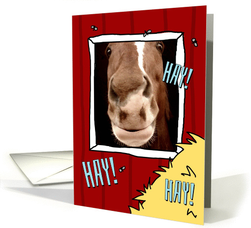 Hey! Thinking of you card with goofy horse. card (1319628)
