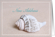 New Address Card with Sand & Seashell card