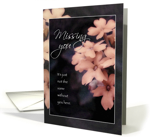 Miss / Missing You, Peach Garden Phlox card (1319750)