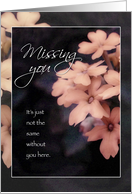 Miss / Missing You, Peach Garden Phlox card