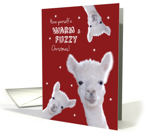Humorous Warm & Fuzzy Christmas Card with Llamas card (1322432)
