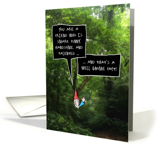 Male Friend Birthday, Humorous Gnome in Forest card (1328956)