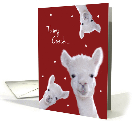 To my Coach, Warm Fuzzy Llama Christmas card (1330978)